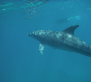 Sie haben mit uns gespielt