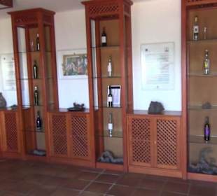 Casa Museo del Campesino