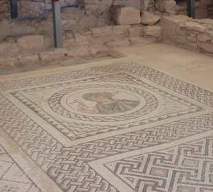Bodenmosaiken