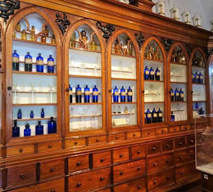 Rundgang durch das Medizinmuseum