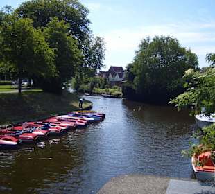 Ein Rundgang durch die "Rosenstadt" im Sommer 