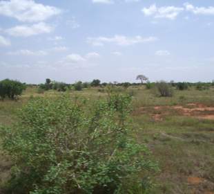 Tsavo Ost