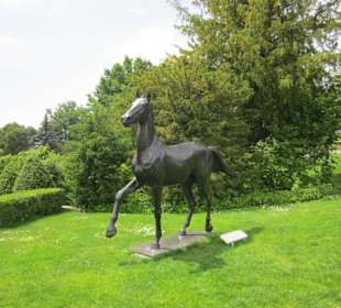 Pferd