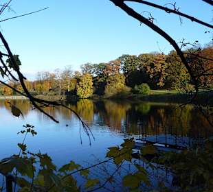 Idyllischer See mit viel Natur