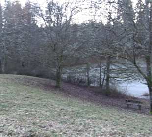 Ochsenweiher Rundweg