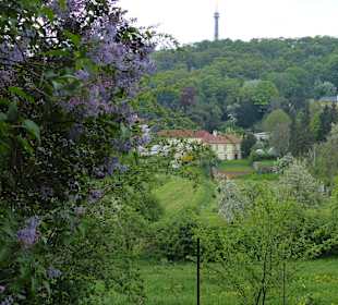 Wanderung zurück in die Stadt