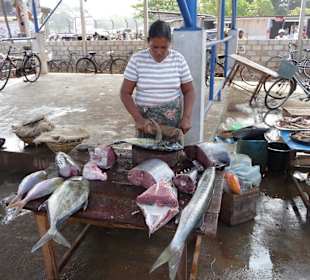 Fischmarkt in Negombo