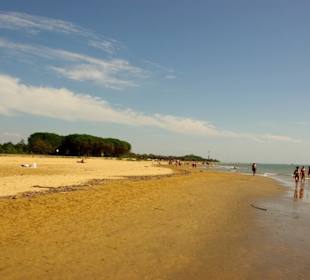 Hier nur Spaziergang nicht hinlegen Strafe