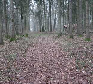 Brühl-Brünnele Ehestetten