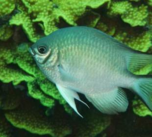 Unterwasserimpressionen