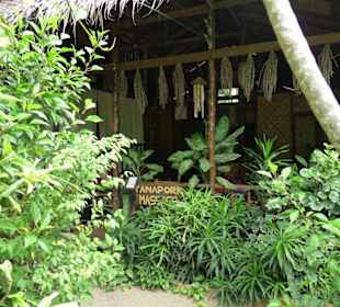 Beste Thaimassage bei Tanaporn