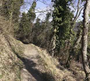 Wanderweg zur Achalm
