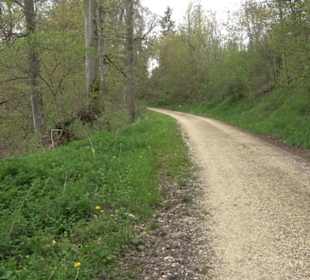 Premiumwanderweg Hochgebürzelt