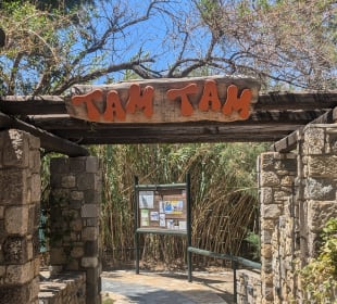 Tam Tam Beach Bar