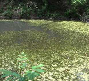 Wanderweg Märchensee Runde
