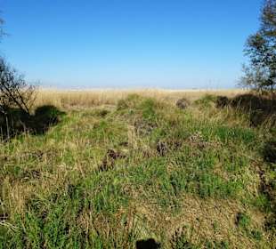 Impressionen vom Schwimmenden Moor