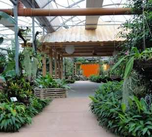 Raffeiner Orchideenwelt