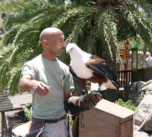 Palmitos Park - Greifvogelschau