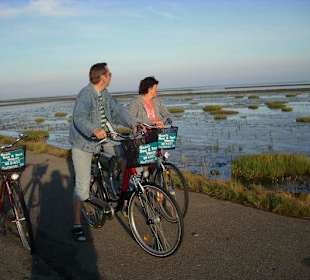 Radtour am Deich
