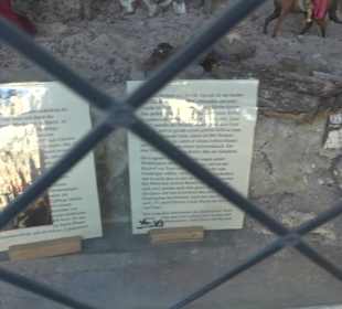 Kath. Pfarrkirche St. Martin Altheim