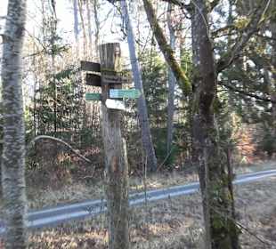 Wanderung rund um den Ochsenweiher
