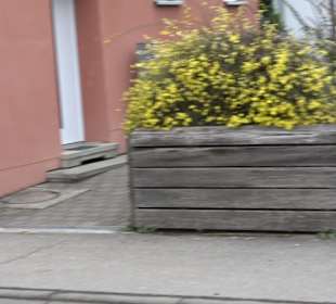 Freikirche der Siebenten Tags Adventisten 