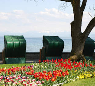 Strandkörbe mit Blick auf den See