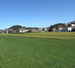 Waldameisen-LehrPfad