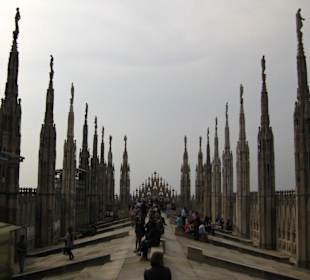 Auf dem Dach des Mailänder Doms