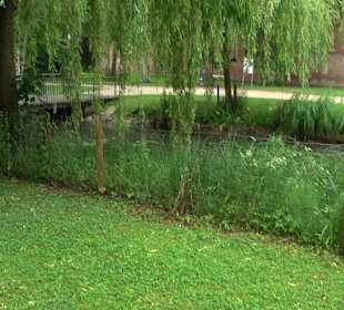 Forellenbächle Glacis Park