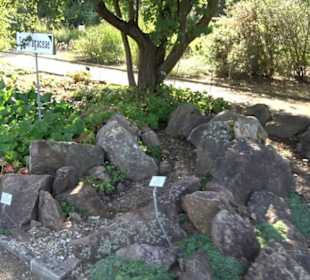 Botanischer Garten München