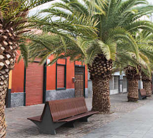  Тихая улочка с пальмами