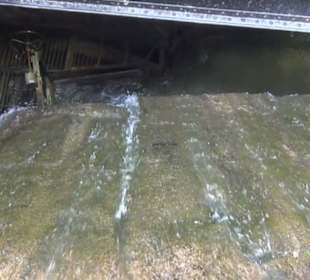 Festungsbahn - Abfahrt