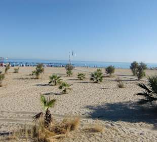 Der große Sandstrand. 1,8 km zu Fuß