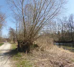 Rundwanderung Haimhausen