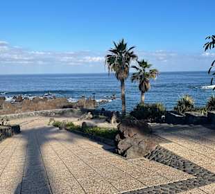 Wandern Puerto de la Cruz