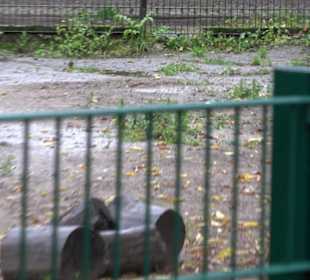 Tierpark 