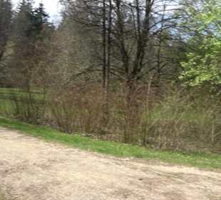 Rundweg am Beutenlay