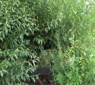 ALB-GOLD Naturgarten