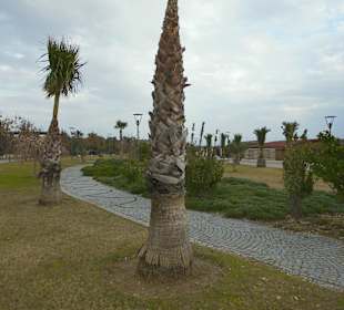 Noch etwas kahl um diese Jahreszeit