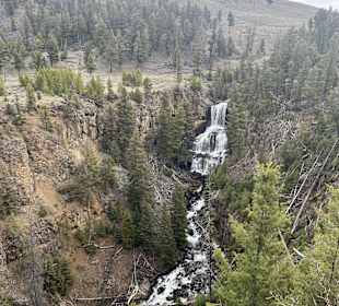 Yellowstone Nationalpark