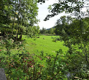 Die großen Gehege im Zoo Salzburg