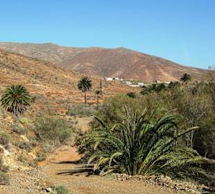 Bei la Vega de Rio Palma