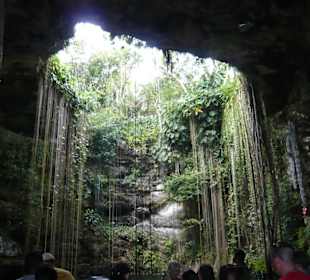 Baden in der Cenote