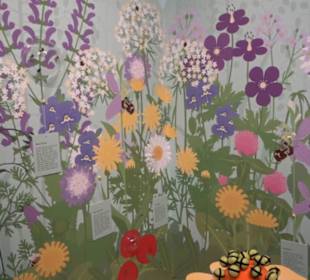 Museum für Naturkunde