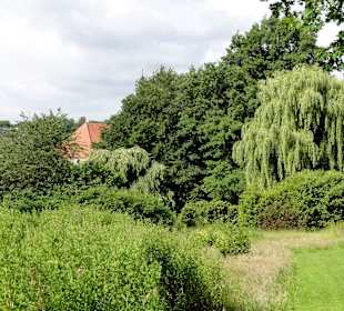 Spaziergang durch den Stadtpark