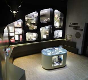 Impressionen aus dem Aquazoo Löbbecke Museum