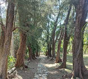 Stadtrundgang Varadero