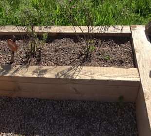 Arzneipflanzengarten Klosterreichenbach