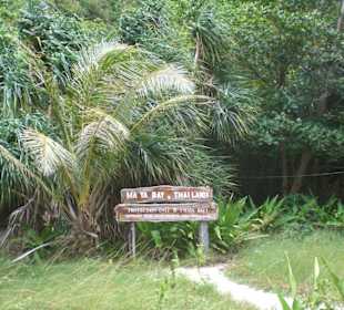 Maya Bay Koh Phi Phi